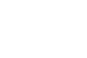 NNG logo in white for testimonial